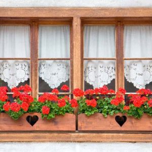 consejos ventanas de madera